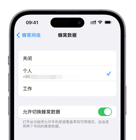 雅安苹果维修服务分享如何在iPhone上使用双卡 